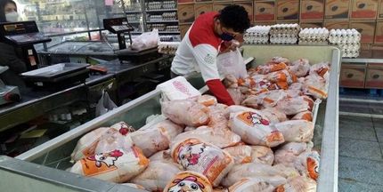 آغاز عرضه مرغ منجمد ۴۰هزار تومانی برای تنظیم قیمت بازار