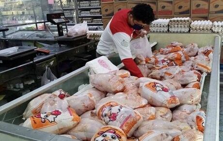 آغاز عرضه مرغ منجمد ۴۰هزار تومانی برای تنظیم قیمت بازار