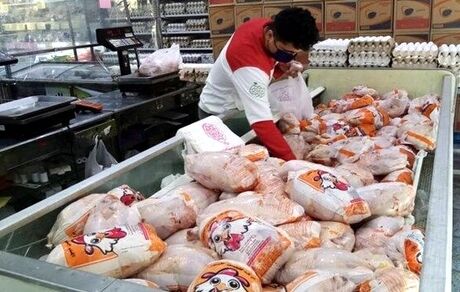 آغاز عرضه مرغ منجمد ۴۰هزار تومانی برای تنظیم قیمت بازار