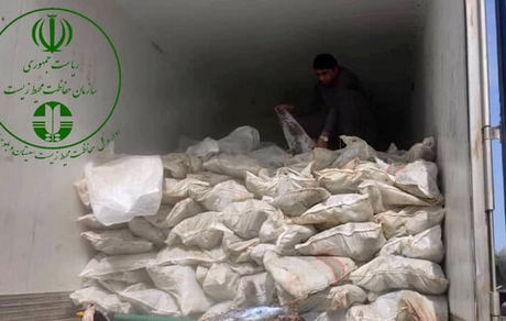 دو محموله بزرگ قاچاق کوسه ماهیان در چابهار کشف شد