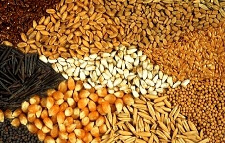۵۶ شرکت برای واردات نهاده قرارداد بستند