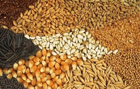 ۵۶ شرکت برای واردات نهاده قرارداد بستند