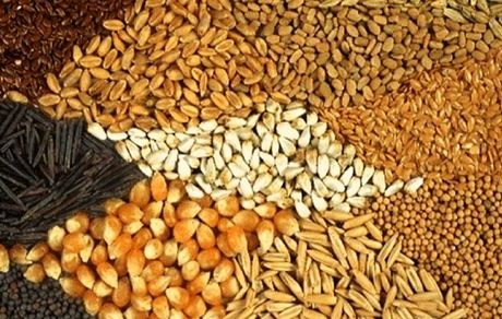 ۵۶ شرکت برای واردات نهاده قرارداد بستند