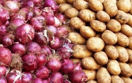 عوارض صادرات سیب زمینی و پیاز تعیین شد