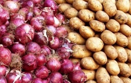 عوارض صادرات سیب زمینی و پیاز تعیین شد