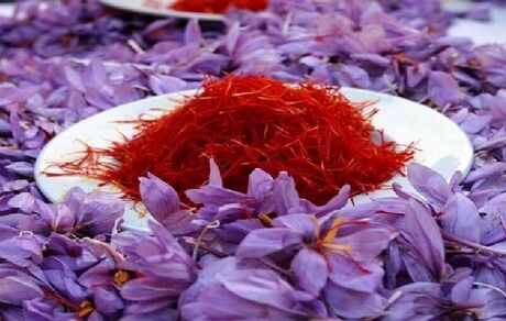 صادرات زعفران از افغانستان کاهش یافت