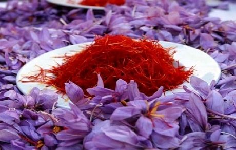 صادرات زعفران از افغانستان کاهش یافت