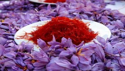 صادرات زعفران از افغانستان کاهش یافت