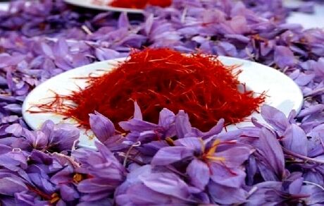 صادرات زعفران از افغانستان کاهش یافت