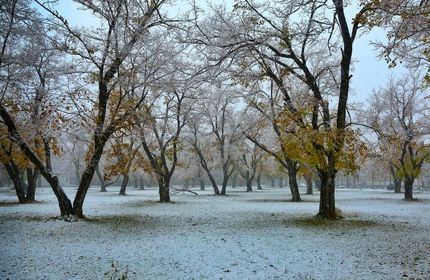 بارش برف و باران در نقاط مختلف کشور / پرواز ارومیه لغو شد / تبریز هم سفیدپوش شد