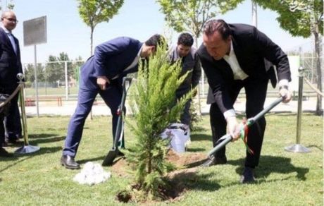 تبریک طعنه‌آمیز علی کریمی به مناسبت روز درختکاری /عکس