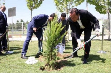 تبریک طعنه‌آمیز علی کریمی به مناسبت روز درختکاری /عکس