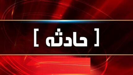 فوت آرنیکای ۱۷ ساله بدلیل باتوم خوردن تکذیب شد / سقوط از بالکن عامل درگذشت