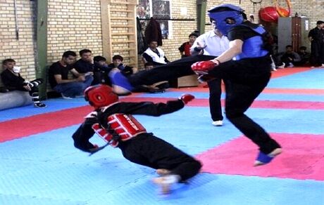 ثبت جهانی کونگ فو به نام ایران مهمترین رسالت این فدراسیون است