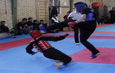ثبت جهانی کونگ فو به نام ایران مهمترین رسالت این فدراسیون است