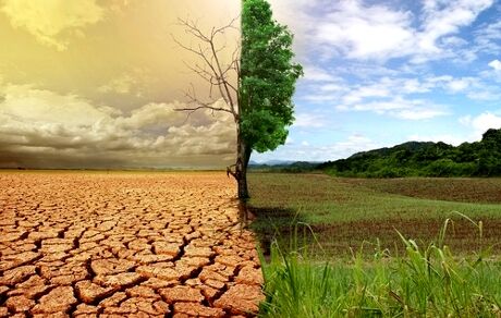 طرح بیابان زدایی در ۷۴۰هکتار اراضی بیابانی مرکزی