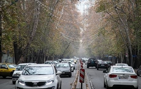 ۱۷۹ درخت درخیابان ولی عصر تهران قطع شد
