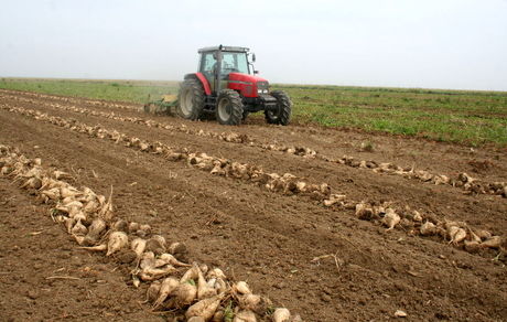 کشت محصولات کشاورزی پر آب‌بر در قزوین ممنوع شد