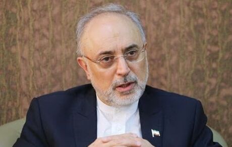 صالحی: به زودی غنی سازی ۲۰ درصد را آغاز خواهیم کرد/ شهید سلیمانی دوراندیش بود