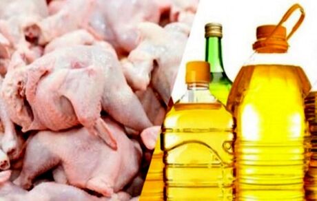 مرغ و روغن یا مرگ/ مردم کدام را انتخاب کنند 