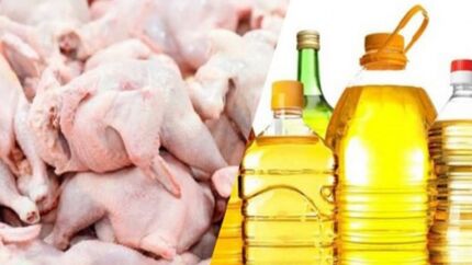 مرغ و روغن یا مرگ/ مردم کدام را انتخاب کنند 