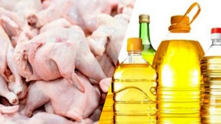مرغ و روغن یا مرگ/ مردم کدام را انتخاب کنند 
