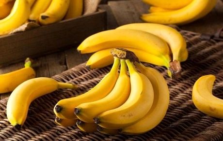 اختلال در واردات موز/ کار به خط و نشان کشید!