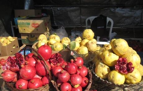 روستای جوشقان میزبان جشنواره انار