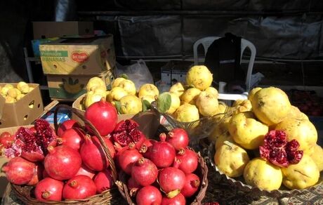 روستای جوشقان میزبان جشنواره انار