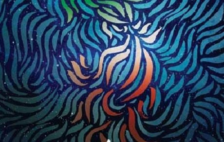 اعلام نامزدهای جشنواره فیلم فجر/ رقابت نزدیک «شنای پروانه» و «درخت گردو»