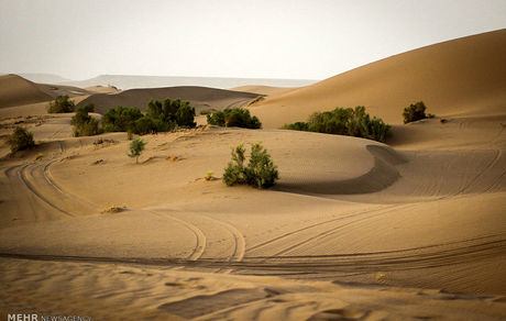 افزایش یک میلیون هکتاری وسعت بیابان‌های کشور