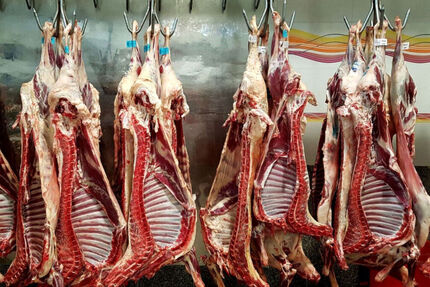 ماه آینده، واردات گوشت قرمز و دام از آفریقا آغاز می‌شود