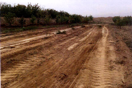 ۱۲۸هکتار از اراضی ملی البرز از دست متصرفان خارج شد