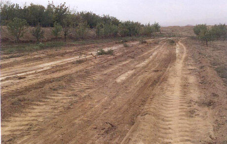 ۱۲۸هکتار از اراضی ملی البرز از دست متصرفان خارج شد
