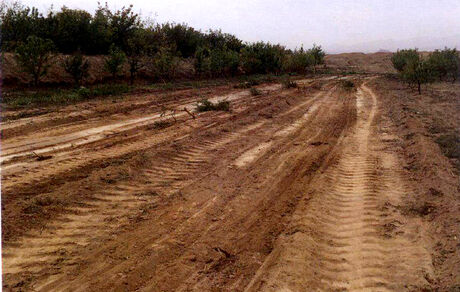 ۱۲۸هکتار از اراضی ملی البرز از دست متصرفان خارج شد
