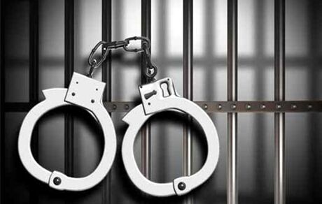 کشف بیش از ۵۰۱ میلیاردی انواع جرایم اقتصادی