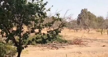 بخشی از هویت تاریخی شهر کرج در آستانه خشک شدن