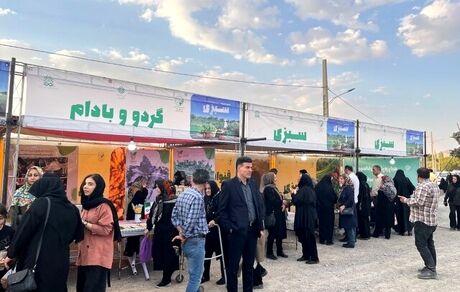 جشنواره تابستانه سبزی، غذا و سوغات منطقه سنجان کلانشهر اراک آغاز شد
