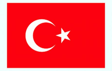 مذاکرات ترکیه و ناتو درباره تحولات بین المللی