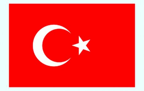 مذاکرات ترکیه و ناتو درباره تحولات بین المللی