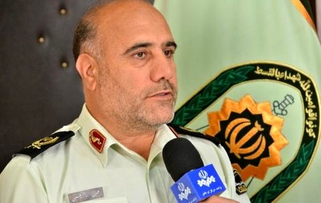 دستگیری ۸۵۱ سارق و مالخر در تهران/ شهروندان اجازه ندارند سگ به پارک‌ها بیاورند