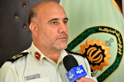 دستگیری ۸۵۱ سارق و مالخر در تهران/ شهروندان اجازه ندارند سگ به پارک‌ها بیاورند