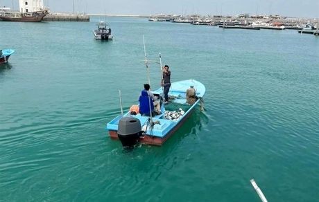 بازگشت سه زندانی ایرانی آزاد شده در قطر به کشور