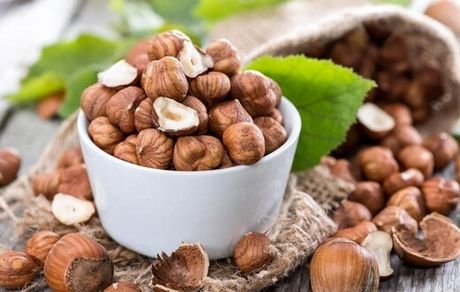 فواید فندق را بدانید