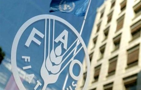 افزایش ۲۸ درصدی قیمت غذا در سراسر جهان