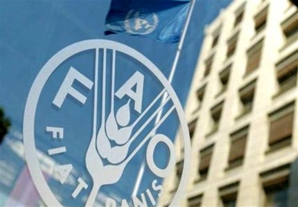 افزایش ۲۸ درصدی قیمت غذا در سراسر جهان