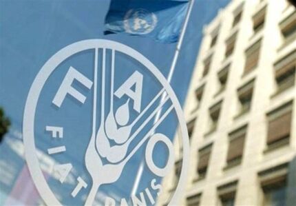 افزایش ۲۸ درصدی قیمت غذا در سراسر جهان