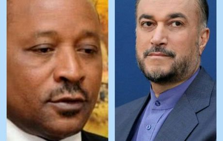 ایران آماده همکاری‌های دو جانبه با جمهوری نیجر