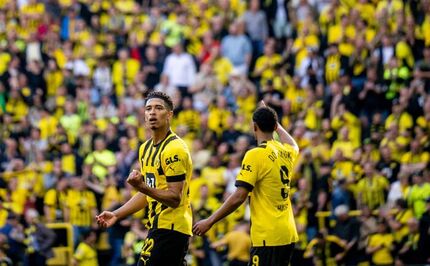 دورتموند با یک برد پرگل در تعقیب بایرن مونیخ ماند