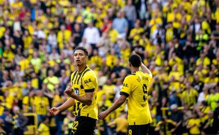 دورتموند با یک برد پرگل در تعقیب بایرن مونیخ ماند